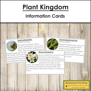 Cartes d'informations sur le royaume végétal - botanique Montessori - cartes Montessori imprimables - téléchargement numérique