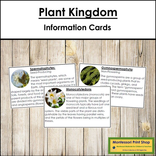 Conifer Vs Deciduous Trees: Printable Classroom Poster for Tree ...