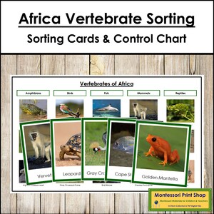 Tarjetas de clasificación de vertebrados africanos y tabla de control (codificadas por colores) - Zoología Montessori - Tarjetas Montessori imprimibles - Descarga digital