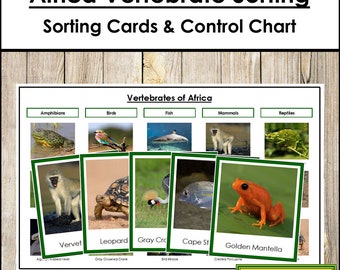 Africa Vertebrate Sorting Cards & Control Chart (color-coded) - Montessori Zoology - Printable Montessori Cards - Digital Download