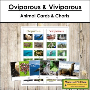 Cartões de classificação e gráfico de controle de animais ovíparos e vivíparos - Zoologia - Cartões Montessori para impressão - Download digital