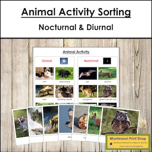 Cartões de classificação e gráfico de controle de classificação de atividade animal (noturna e diurna) - Zoologia - Cartões Montessori para impressão - Download digital