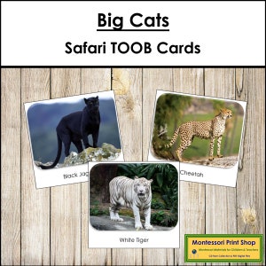 Big Cats Safari TOOB Cards - Carte Montessori stampabili - Download digitale