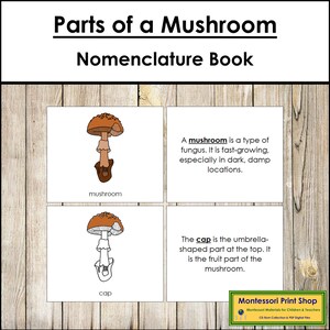 Parts of a Mushroom Nomenclature Book - Montessori Botany - Printable Montessori Materials - Digital Download