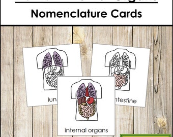 Human Internal Organs Nomenclature 3-Part Cards - Science - Printable Montessori Materials - Digital Download