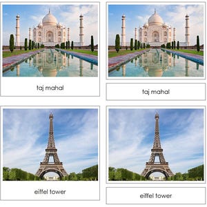 Around The World Safari TOOB Cards - Printable Montessori Cards - Digital Download by Montessori Print Shop