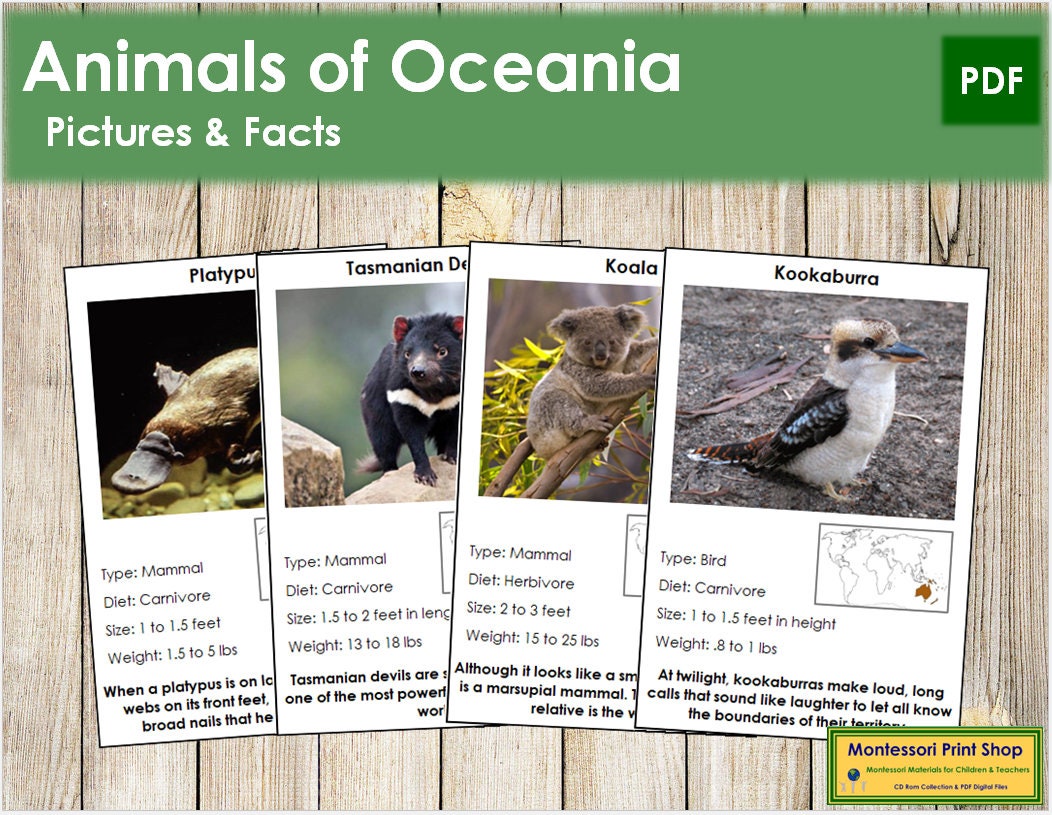 Animals of Australia/oceania Facts & Picture Cards - Etsy Sweden Animals of Australia/oceania Facts & Picture Cards - Etsy Sweden