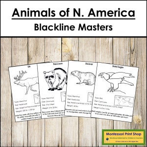 Informations sur les animaux d'Amérique du Nord et cartes (Blackline Master) - Zoologie Montessori - Cartes Montessori imprimables - Téléchargement numérique