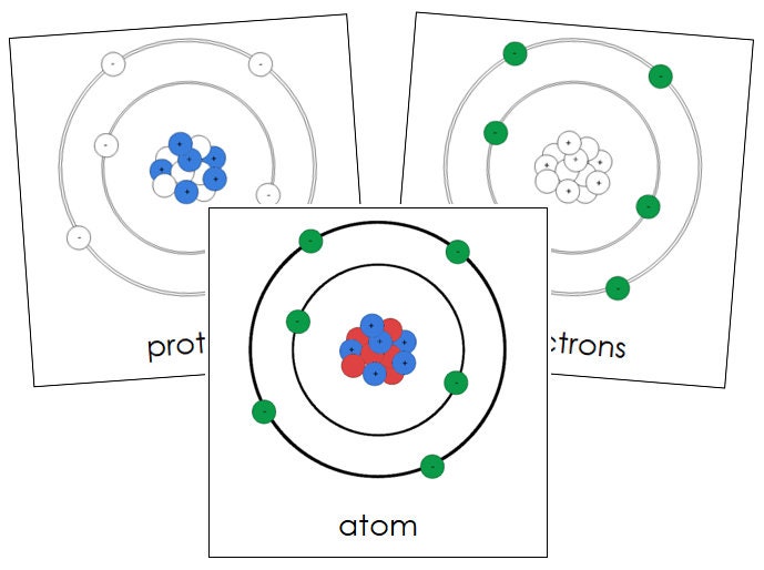 Parts of an Atom Nomenclature 3-part Cards Science Printable Montessori ...