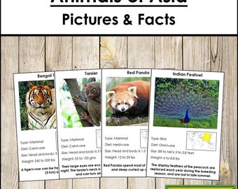 Animals of Asia Facts & Picture Cards (color-coded) - Montessori Zoology - Printable Montessori Cards - Digital Download