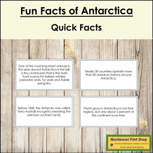 Curiosità sull'Antartide (codificate a colori) - Carte Montessori sui continenti - Geografia - Carte Montessori stampabili - Download digitale