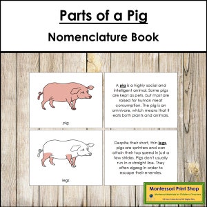 Libro de nomenclatura de las partes de un cerdo - Zoología Montessori - Materiales Montessori imprimibles - Descarga digital