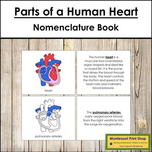 Parts of a Human Heart Nomenclature Book - Science - Printable Montessori Materials - Digital Download