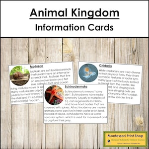 Schede informative sul regno animale - Zoologia Montessori - Schede Montessori stampabili - Download digitale