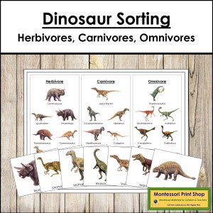 Tri de dinosaures (herbivores, carnivores, omnivores) - Zoologie - Cartes Montessori imprimables - Téléchargement numérique