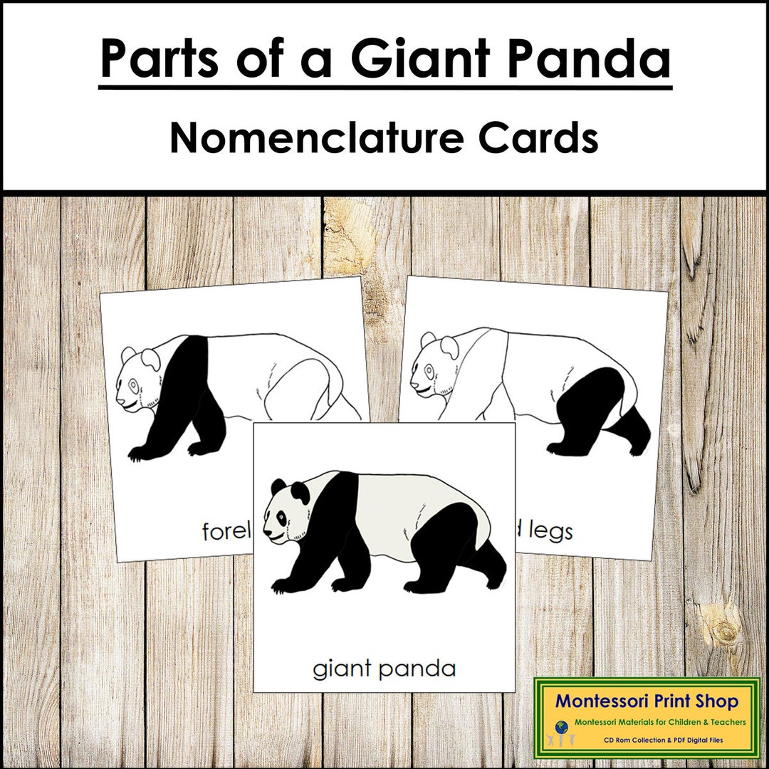 Parts of a Giant Panda Nomenclature 3-part Cards & Blackline