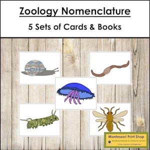 Zoology Nomenclature 3-Part Cards & Books Nomenclature Bundle Set 2 - Printable Montessori Materials - Digital Download