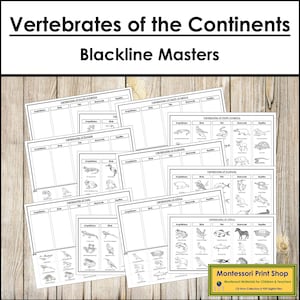 Vertébrés des continents tri des maîtres à la ligne noire - zoologie Montessori - cartes Montessori imprimables - téléchargement numérique