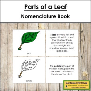 Parts of a Leaf Nomenclature Book - Montessori Botany - Printable Montessori Materials - Digital Download