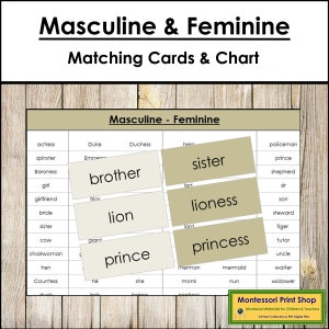 Cartes de correspondance masculines et féminines (code couleur) - grammaire - matériel Montessori imprimable - téléchargement numérique