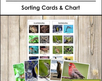 Vertebrates and Invertebrates Sorting Cards & Chart - Montessori Zoology Activity (Digital Download)