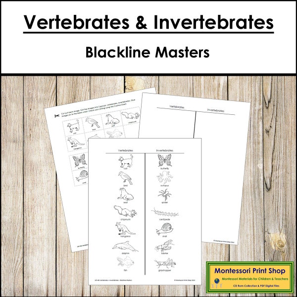 Vertebrates and Invertebrates Sorting Blackline Masters - Zoology - Printable Montessori Cards - Digital Download