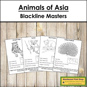 Animals of Asia Fakten & Bildkarten (Blackline Masters) - Montessori Zoologie - Druckbare Montessori Karten - digitaler Download