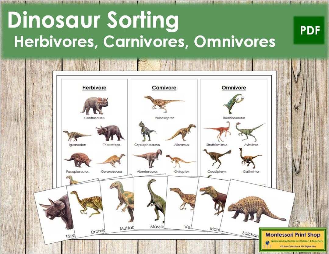 Dinosaur Sorting herbivores Carnivores Omnivores Zoology - Etsy Dinosaur Sorting herbivores Carnivores Omnivores Zoology - Etsy