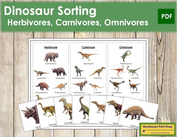 Dinosaur Sorting herbivores Carnivores Omnivores Zoology - Etsy Australia Dinosaur Sorting herbivores Carnivores Omnivores Zoology - Etsy Australia
