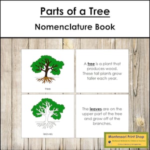 Parts of a Tree Nomenclature Book - Montessori Botany - Printable Montessori Materials - Digital Download