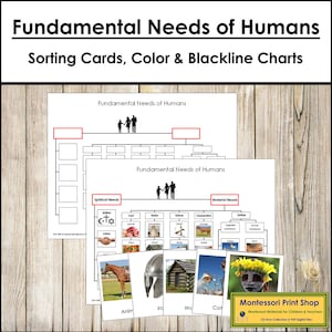 Besoins fondamentaux des humains pour le tri des cartes et des graphiques - études sociales Montessori - cartes Montessori imprimables - téléchargement numérique