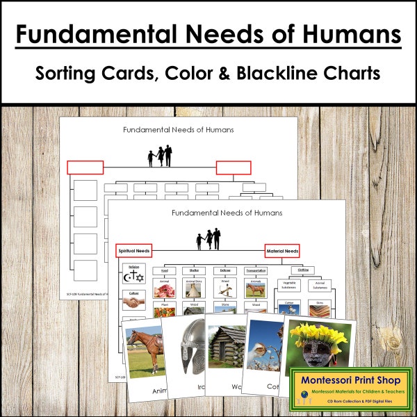Fundamental Needs of Humans Sorting Cards & Charts - Montessori Social Studies - Printable Montessori Cards - Digital Download