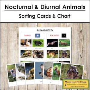Natt- och dagdjurssorteringskort och diagram - Montessorizoologi (digital nedladdning)