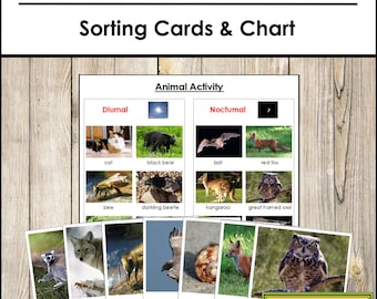 Nocturnal & Diurnal Animal Sorting Cards and Chart - Montessori Zoology (Digital Download)