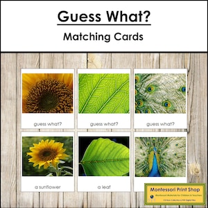 Guess What? Set 1 - Preschool - Printable Montessori Cards - Digital Download