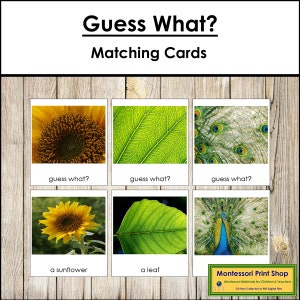 Guess What? Set 1 - Preschool - Printable Montessori Cards - Digital Download