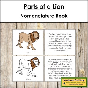Parties d'un livre de nomenclature de lion - zoologie Montessori - matériaux Montessori imprimables - téléchargement numérique