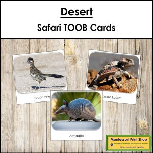 Desert Safari TOOB Cards - Printable Montessori Cards - Digital Download