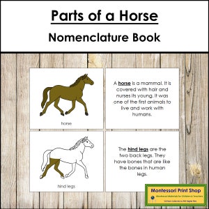 Teile eines Pferde Nomenklatur Buches - Montessori Zoologie - Druckbare Montessori Materialien - Digital Download