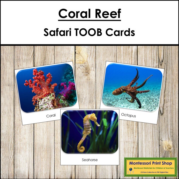 Coral Reef Safari TOOB Cards - Printable Montessori Cards - Digital Download