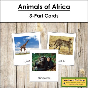 Animali dell'Africa - Carte Montessori sui continenti - Geografia - Carte Montessori stampabili - Download digitale