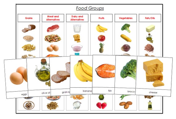 Food Groups Sorting Cards & Control Charts Printable - Etsy