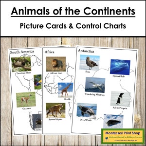 Tiere des Kontinents Set 1 - Montessori Geographie und Zoologie - druckbare Montessori Materialien - digitaler Download