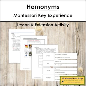 Homoniemen Sleutelervaring - taal en grammatica elementaire montessori - afdrukbare montessorikaarten - digitale download
