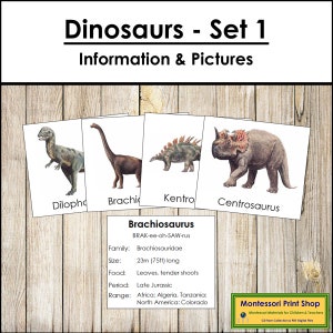 Jeu de cartes dinosaure 1 - science Montessori et zoologie - cartes Montessori imprimables - téléchargement numérique