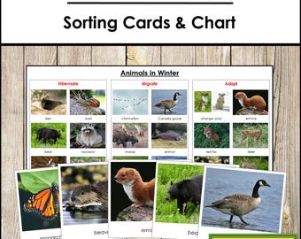 Animals In Winter Sorting Cards & Chart [Migrate, Hibernate, Adapt] - Montessori Zoology Activity (Digital Download)