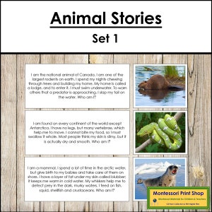 Animal Stories Set 1 - Zoology - Printable Montessori Cards - Digital Download