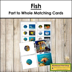 Tarjetas de correspondencia de partes con el todo del pez y tabla de control - Zoología - Tarjetas Montessori imprimibles - Descarga digital