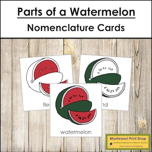 Teile einer Wassermelone Nomenklatur 3-teilige Karten - Botanik - Druckbare Montessori Materialien - Digitaler Download