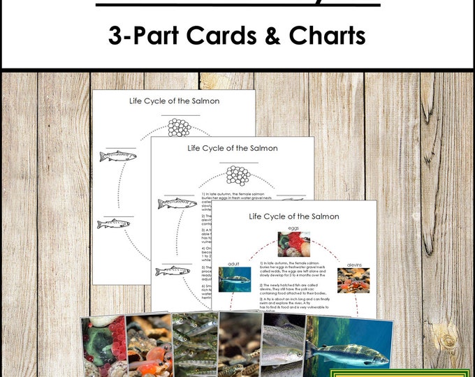 Fish Life Cycle Nature Unit Study, Montessori 3 Part Cards, Life Cycle ...